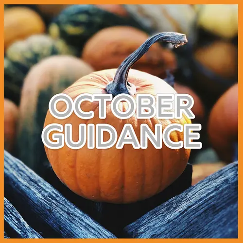 October Guidance & Energy Forecast episode thumbnail