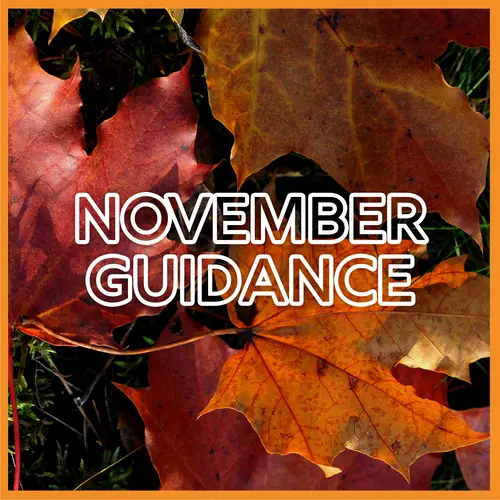 November Guidance & Energy Forecast episode thumbnail