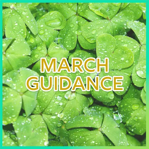 March Guidance & Energy Forecast episode thumbnail