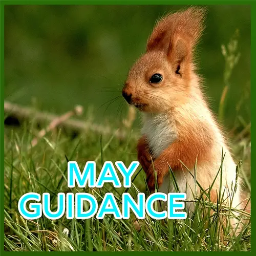 May Energetic Forecast episode thumbnail