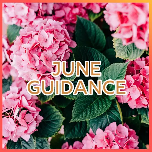June Guidance & Energetic Forecast episode thumbnail
