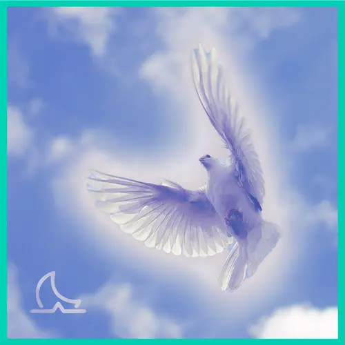 Higher Love - Walking the Path of Light episode thumbnail