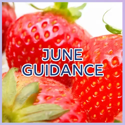 June Guidance and Energy Forecast episode thumbnail