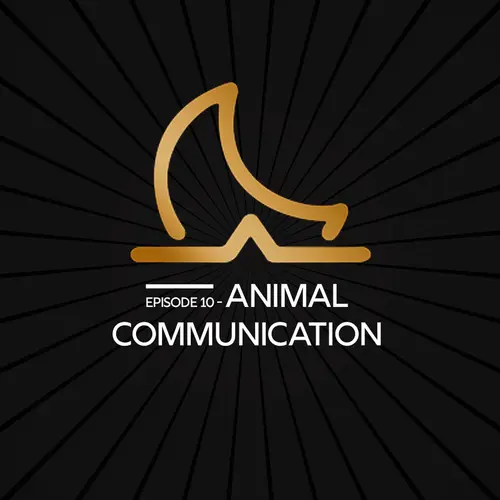 Animal Communication episode thumbnail