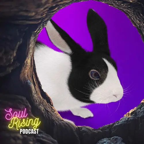 Going Down the Rabbit Hole episode thumbnail